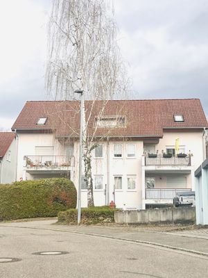 IMG_9236