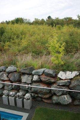 Blick in das anschließende Landschaftsschutzgebiet