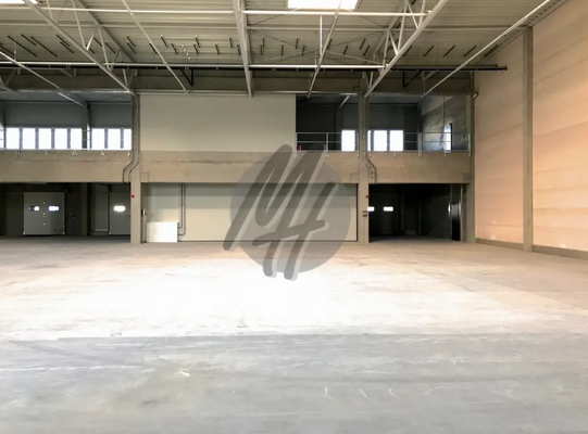 INFOS UNTER: 06171-586000