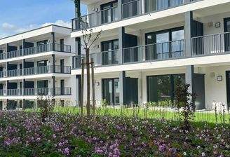 20240528 Außenanlagen (3).jpeg