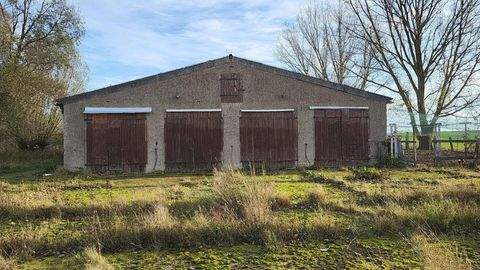 Gransee Halle, Gransee Hallenfläche