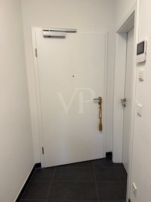 Wohnungseingangstür