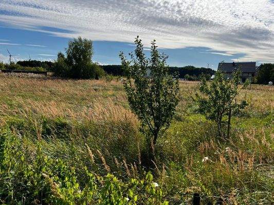 Truemper-Immobilien-Konarzewo-Grundstück00004