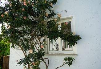 Gemütliches Landhaus