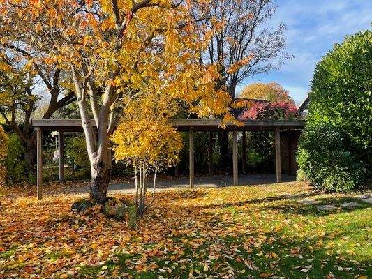 Vorgarten mit Doppelcarport.jpeg