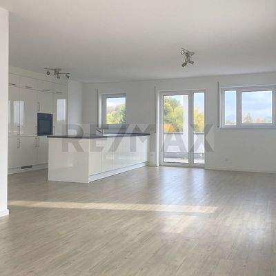 Wohn-Essbereich-leer