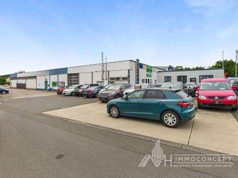 Wittlich Halle, Wittlich Hallenfläche