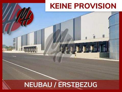 Wetzlar Halle, Wetzlar Hallenfläche