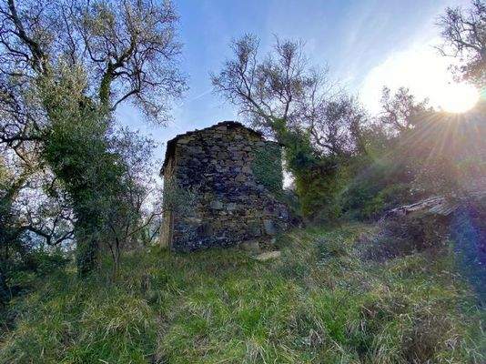 DA812_05 TERRA ITALIA IMMOBILIEN_LIGURIEN_DOLCEACQ