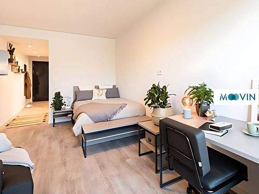 Wohnen (Beispiel-Dekoration)