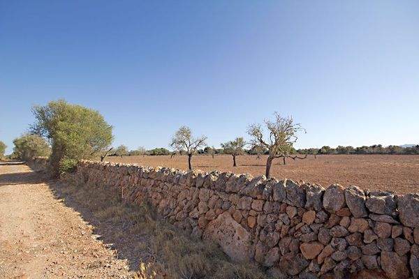 Finca-Grundstück mit Bauprojekt in Ses Salines