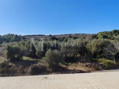 Centar Wohnungen, Centar Wohnung kaufen