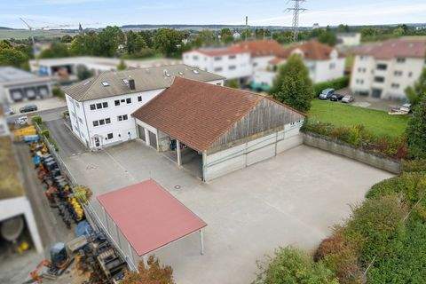 Wöllstadt Halle, Wöllstadt Hallenfläche