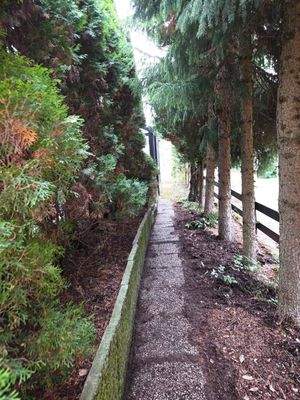 WhatsApp Image 2025-12-10 at 20.22.57.jpeg