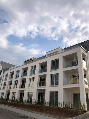 PHOTO-2025-08-27-09-24-06 (16).jpg