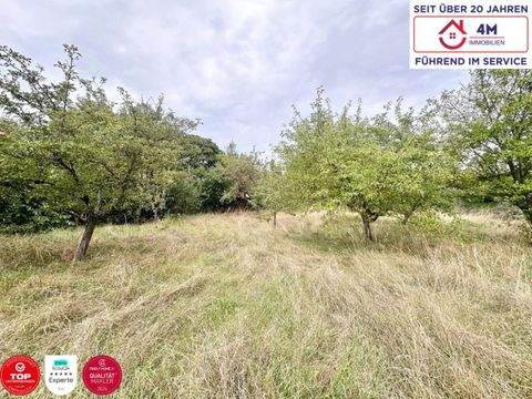 Bad Fischau Grundstücke, Bad Fischau Grundstück kaufen