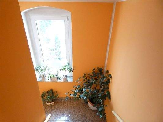 gepflegtes Treppenhaus