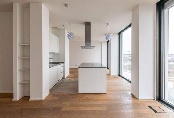 Blick vom Wohnraum in die Küche mit Herdblock.JPG