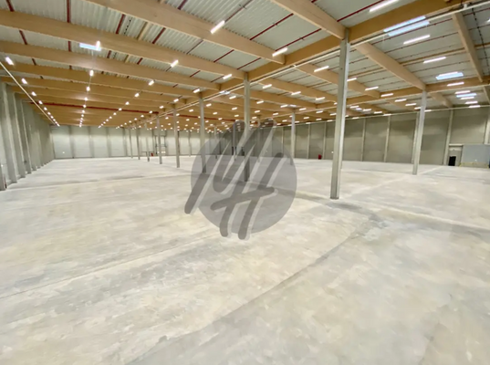 INFOS UNTER: 06171-586000