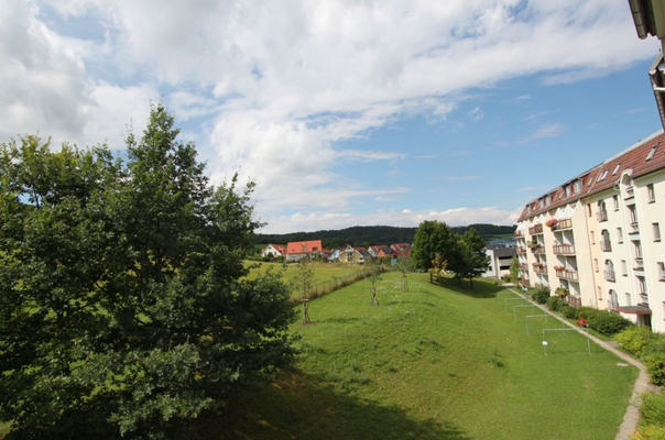 gemeinschaftliche Grünfläche hinter dem Haus