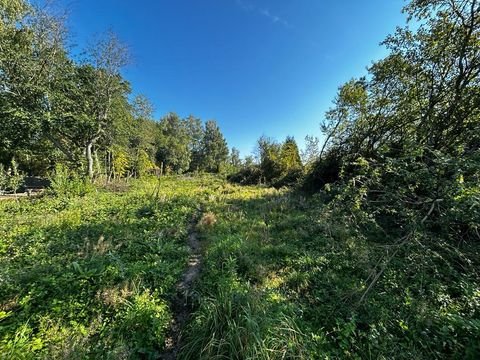 Pirmasens Grundstücke, Pirmasens Grundstück kaufen