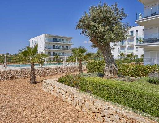 A8-Compass-Cala dOr-garden-may2025