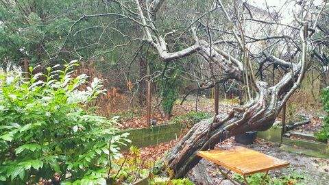 Frankfurt am Main Grundstücke, Frankfurt am Main Grundstück kaufen