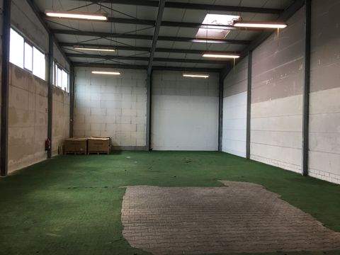 Bühl Halle, Bühl Hallenfläche