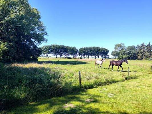 37) IMG_20250701_101138.jpg