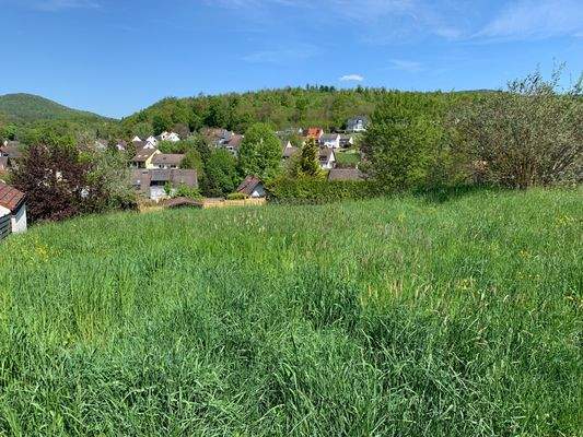 Top-Lage mit Weitblick