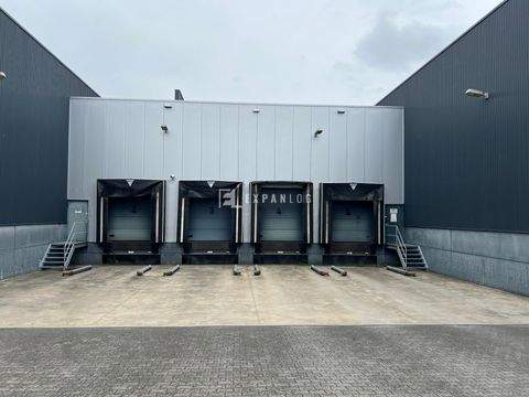 Olpe Halle, Olpe Hallenfläche