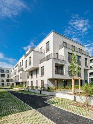 kurz vor Fertigstellung