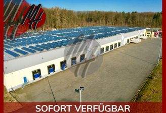 INFOS UNTER: 06171-586000