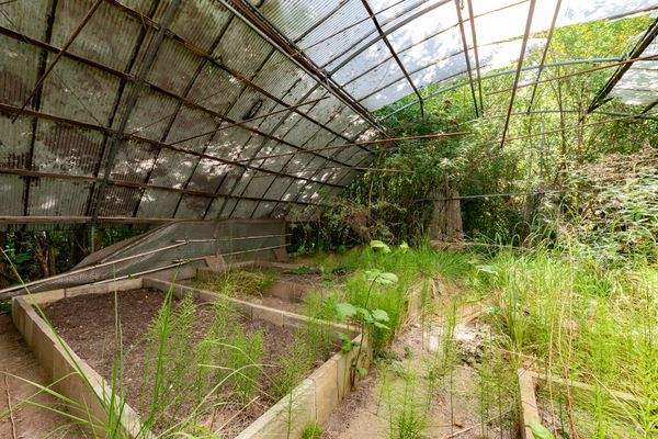 weitere Ansicht Gewächshaus