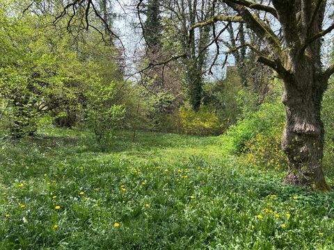 München Grundstücke, München Grundstück kaufen