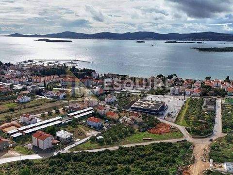 Sveti Filip i Jakov Bauernhöfe, Landwirtschaft, Sveti Filip i Jakov Forstwirtschaft