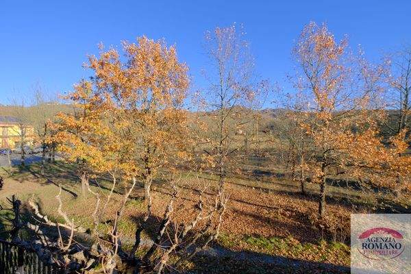 Rif 1857(Copy133).jpg