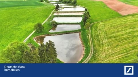 Freudenberg Bauernhöfe, Landwirtschaft, Freudenberg Forstwirtschaft