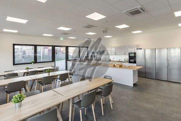 INFOS UNTER: 06171-586000