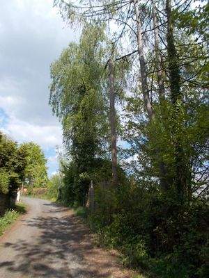 Zuwegung  zum Grundstück