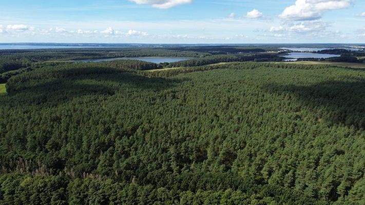 Luftbild Nationalpark