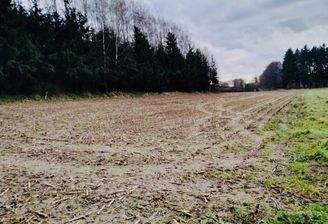 Acker- und Waldfläche