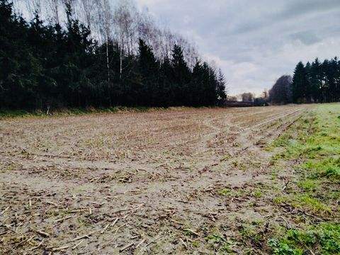 Pfeffenhausen / Baldershausen Bauernhöfe, Landwirtschaft, Pfeffenhausen / Baldershausen Forstwirtschaft