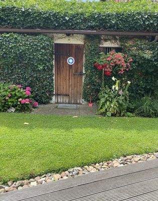 Sommerbilder: Garten