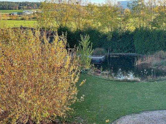 Garten mit Schwimmteich und Grillplatz 