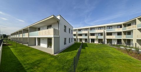 Wiener Neustadt Wohnungen, Wiener Neustadt Wohnung mieten