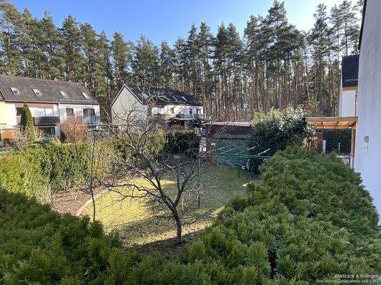 Blick auf den seitlichen Gartenbereich