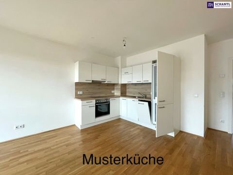 Wiener Neustadt Wohnungen, Wiener Neustadt Wohnung mieten