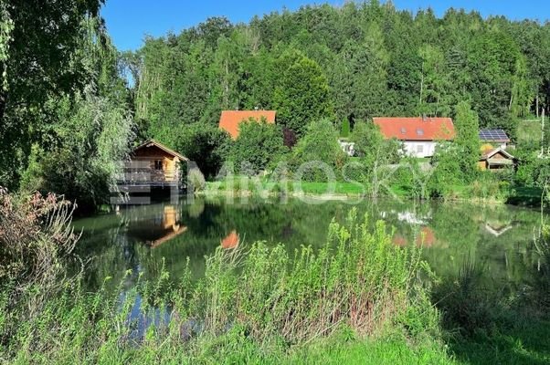 Teich in der Umgebung