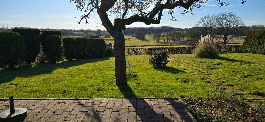 Ausblick 